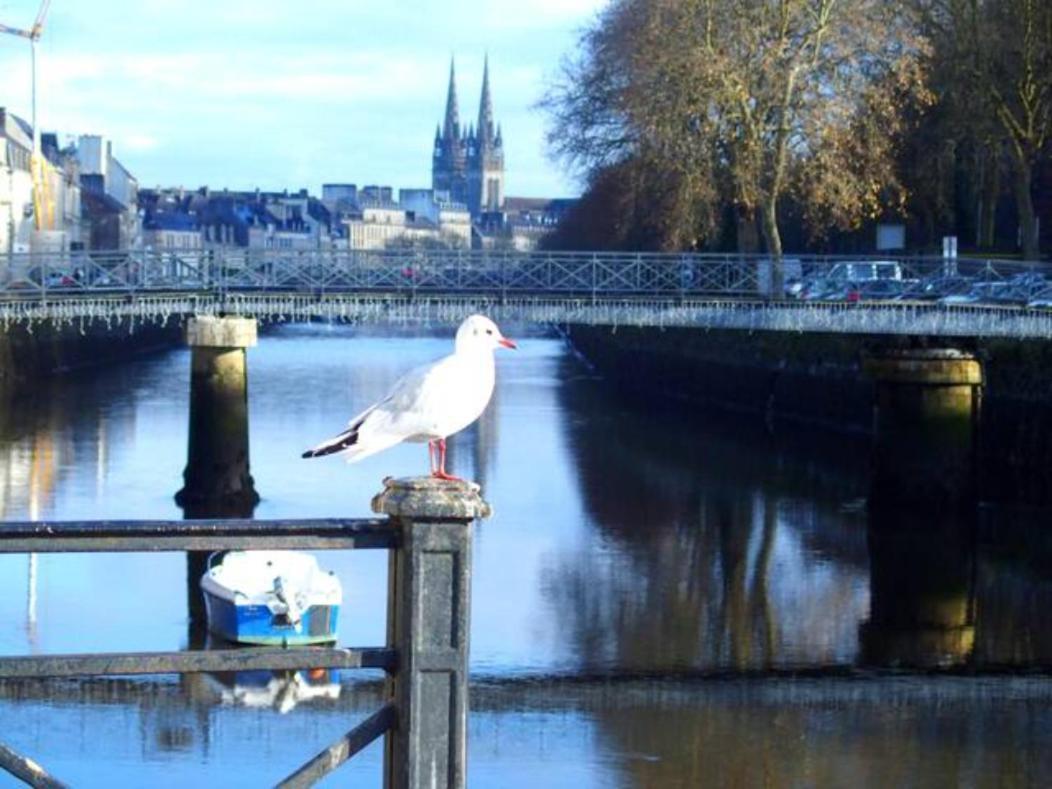 Sweet home en plein coeur de Quimper Buitenkant foto